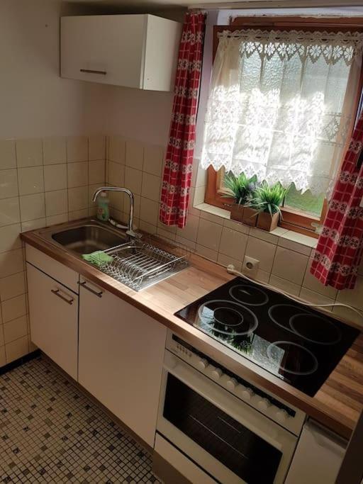 Idyllische Kleine Ferienwohnung Im Schwarzwald Friedenweiler Buitenkant foto